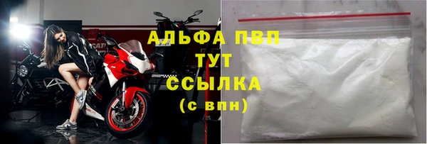 прущие грибы Медвежьегорск