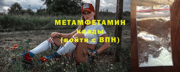 прущие грибы Медвежьегорск