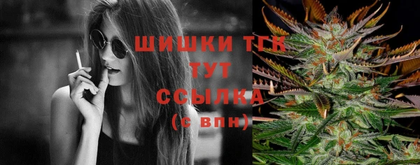 прущие грибы Медвежьегорск
