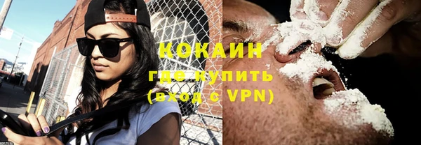 прущие грибы Медвежьегорск