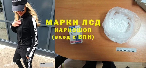 прущие грибы Медвежьегорск