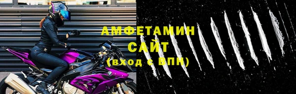 прущие грибы Медвежьегорск