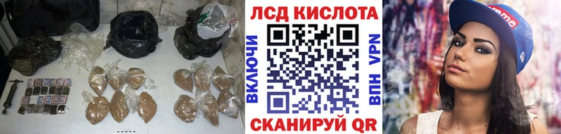 omg вход  Жуков  LSD-25 экстази кислота 