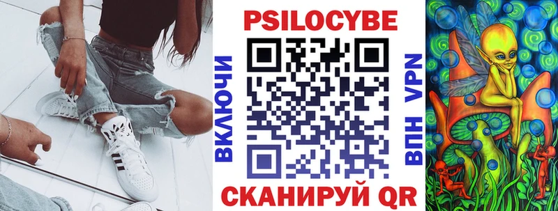 наркота  Жуков  Галлюциногенные грибы Magic Shrooms 